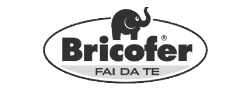 bricofer_logo