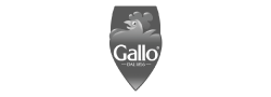 gallo_png